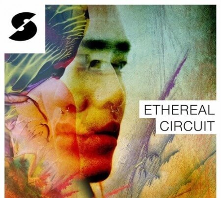 Samplephonics Ethereal Circuit MULTiFORMAT